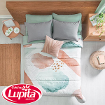 EDREDON IND BAHIA (Vianney 24)